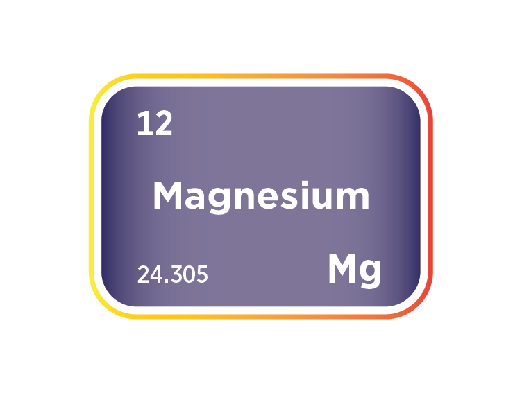 The Magnesium Market
