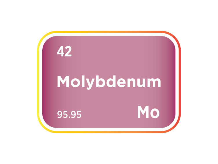 The Molybdenum Market