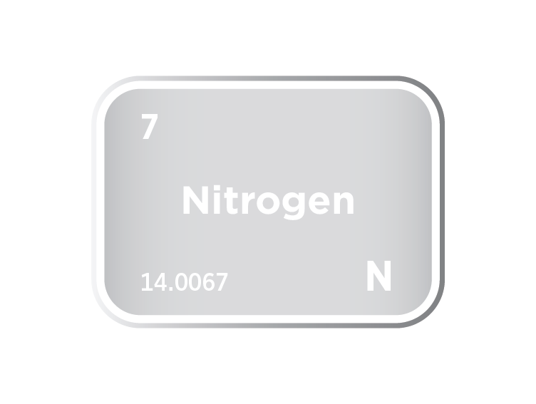 The Nitrogen Market