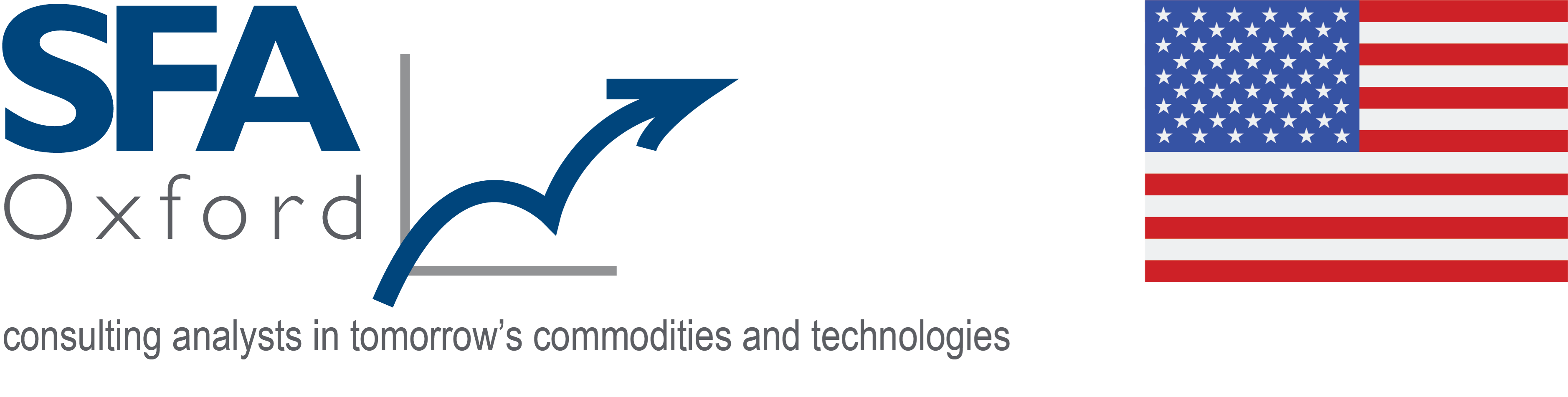 Critical Minerals in the United States and the Energy Transition