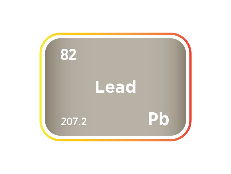 The Lead Market