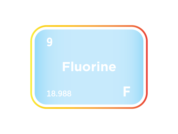 The Fluorine Market